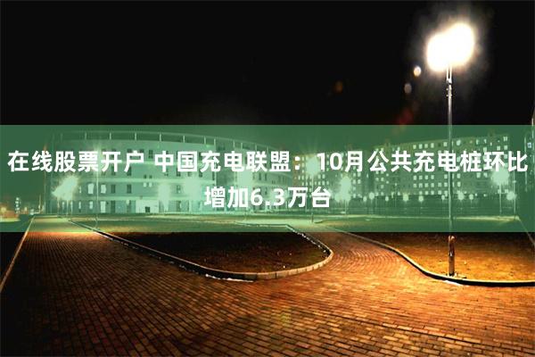 在线股票开户 中国充电联盟：10月公共充电桩环比增加6.3万台
