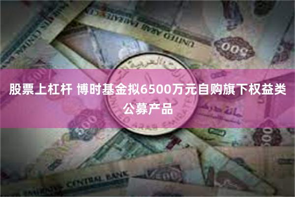 股票上杠杆 博时基金拟6500万元自购旗下权益类公募产品