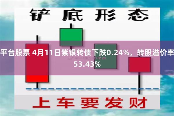 平台股票 4月11日紫银转债下跌0.24%，转股溢价率53.43%