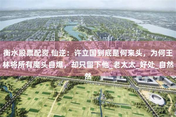 衡水股票配资 仙逆：许立国到底是何来头，为何王林将所有魔头自爆，却只留下他_老太太_好处_自然
