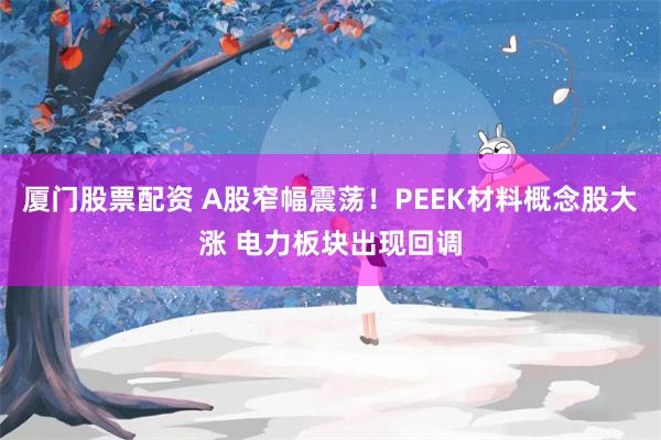 厦门股票配资 A股窄幅震荡！PEEK材料概念股大涨 电力板块出现回调
