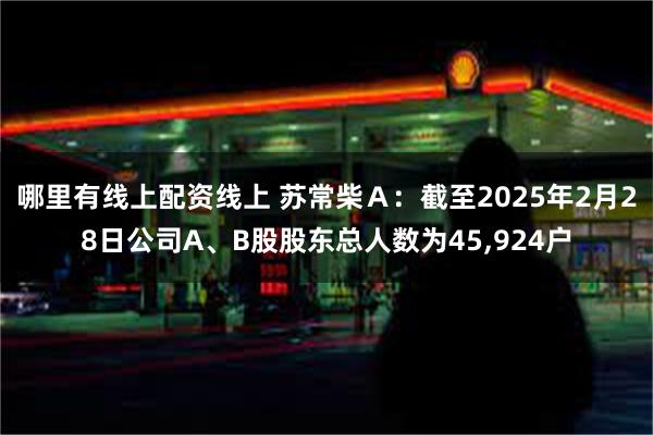 哪里有线上配资线上 苏常柴Ａ：截至2025年2月28日公司A、B股股东总人数为45,924户