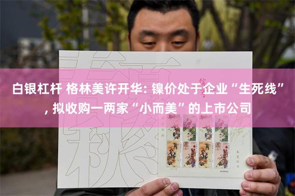 白银杠杆 格林美许开华: 镍价处于企业“生死线”, 拟收购一两家“小而美”的上市公司