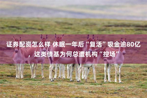 证券配资怎么样 休眠一年后“复活”吸金逾80亿，这类债基为何总遭机构“控场”