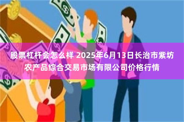 股票杠杆会怎么样 2025年6月13日长治市紫坊农产品综合交易市场有限公司价格行情