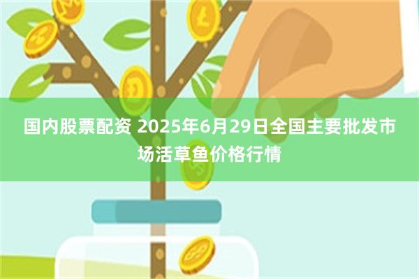 国内股票配资 2025年6月29日全国主要批发市场活草鱼价格行情