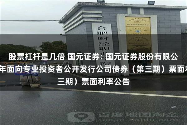 股票杠杆是几倍 国元证券: 国元证券股份有限公司2025年面向专业投资者公开发行公司债券（第三期）票面利率公告